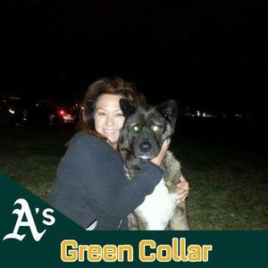 Meet your Posher, Alison